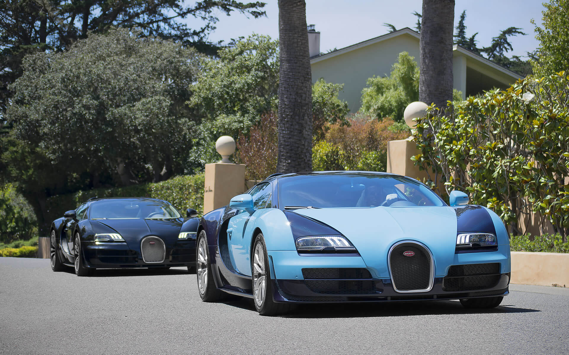 Bugatti Veyron Legends Editions